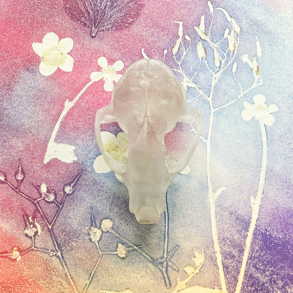 Crystal Clear Cast Glass Fox Skull