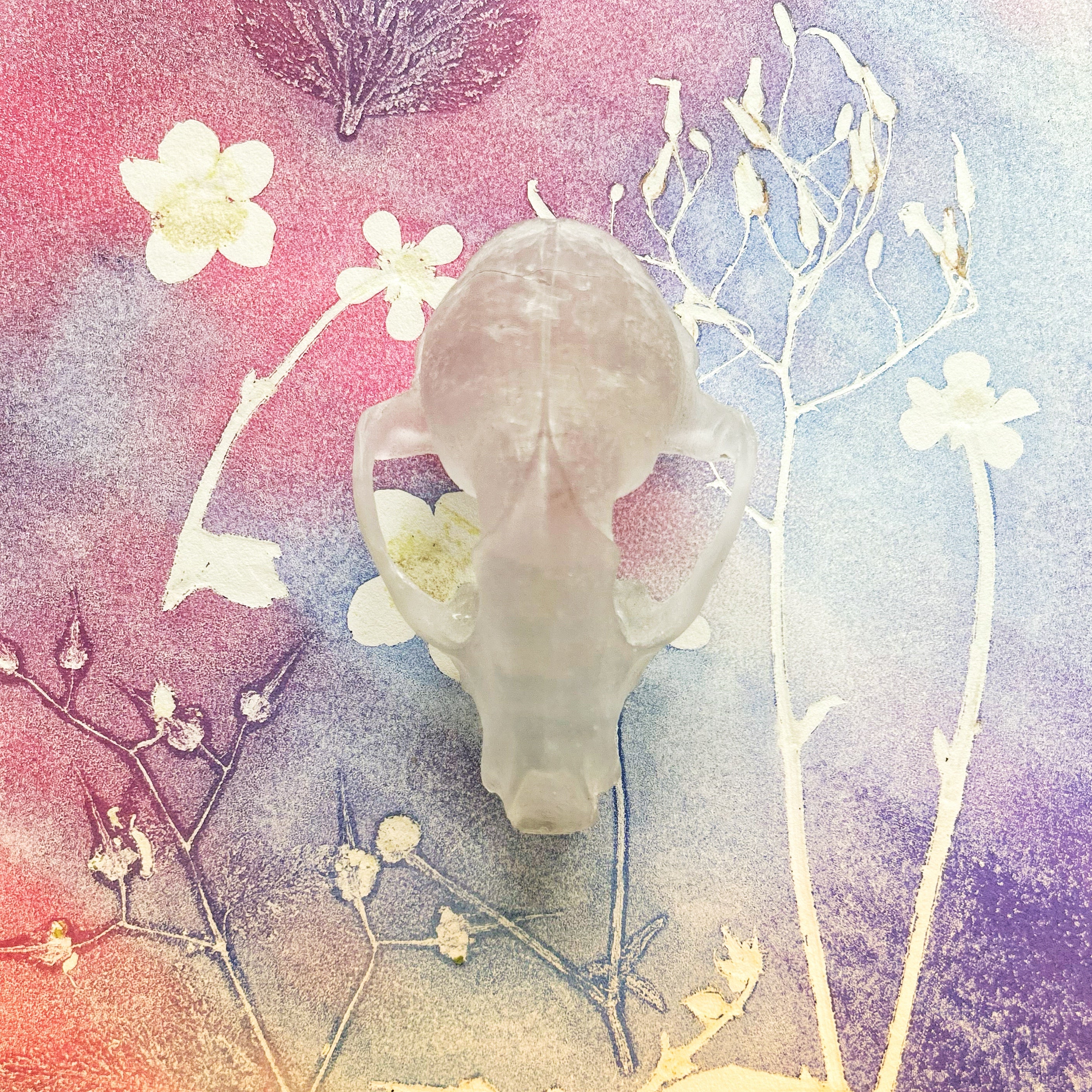 Crystal Clear Cast Glass Fox Skull