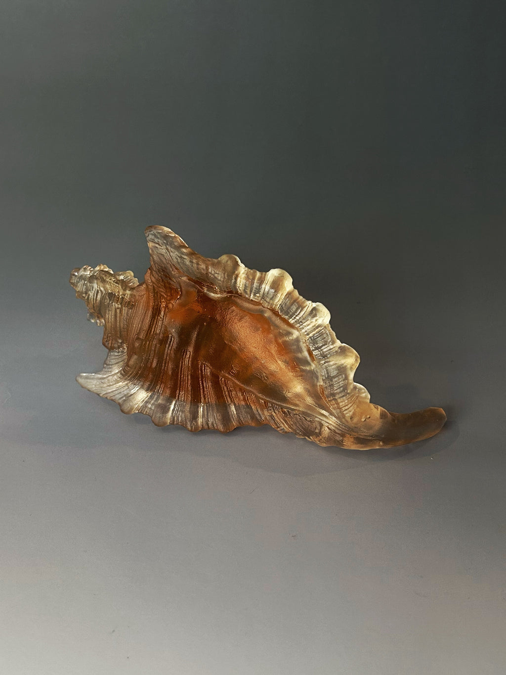 Amber Sea Shell