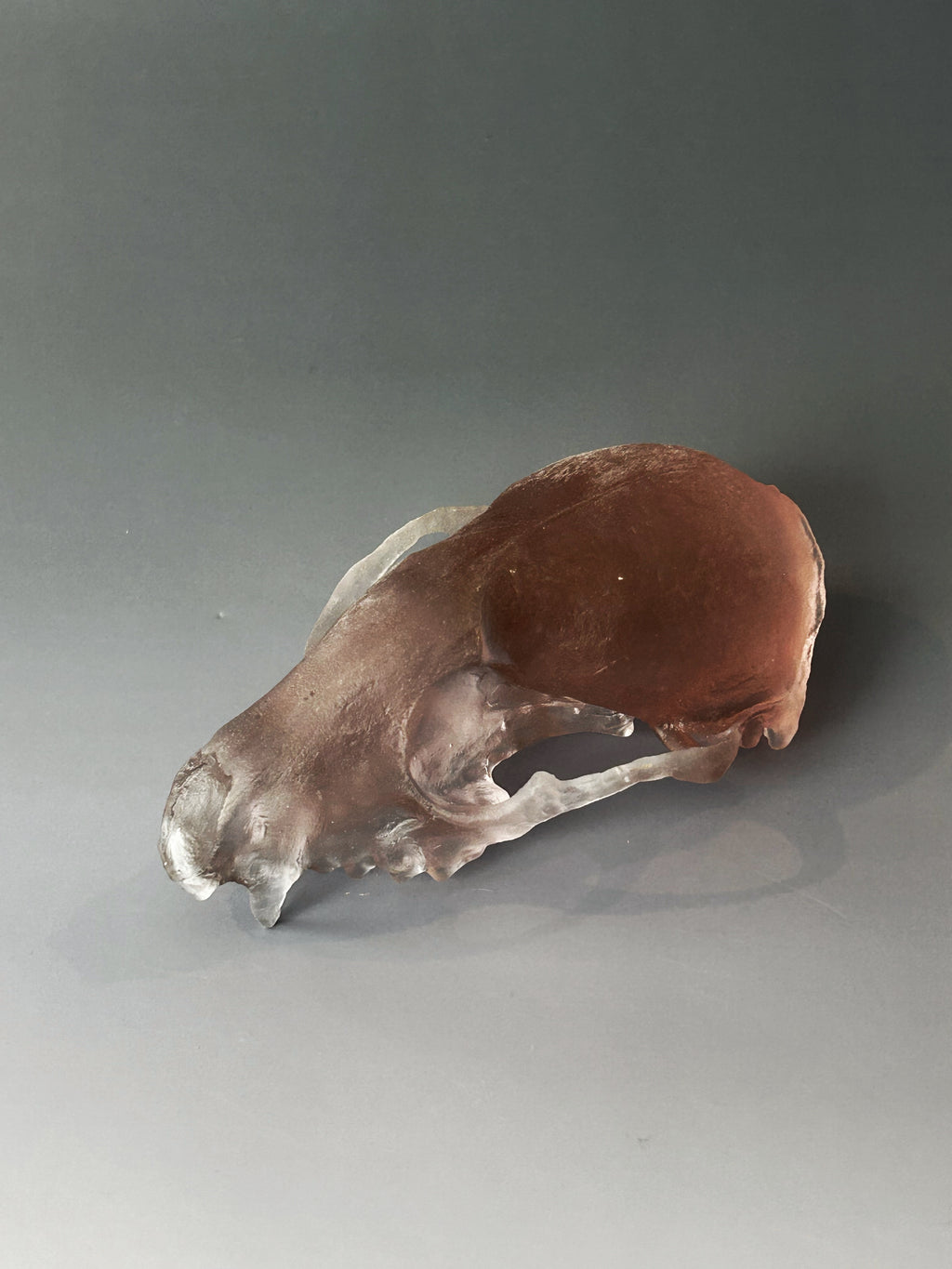 Soft Pink Cast Glass Fox Skull