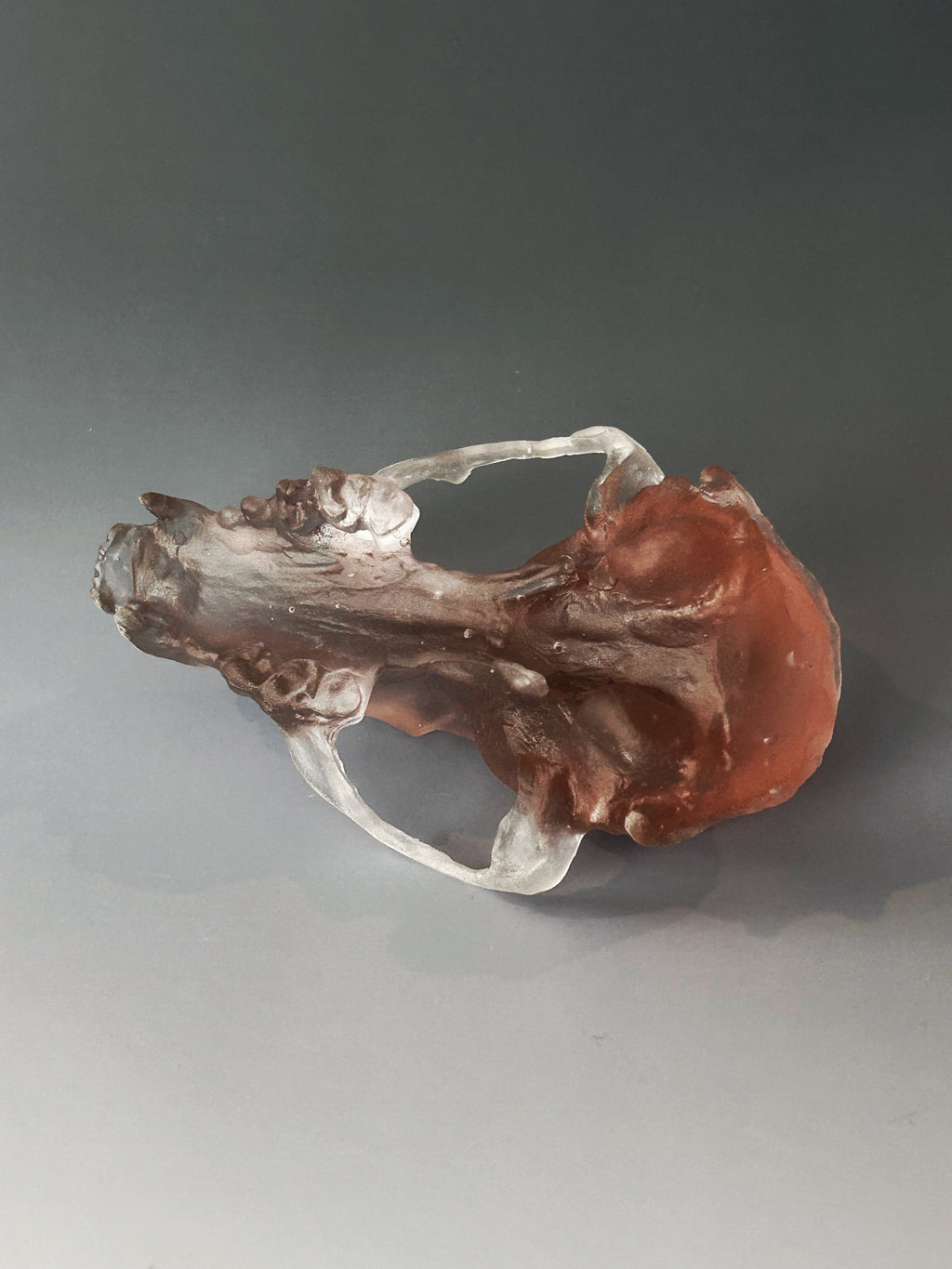 Soft Pink Cast Glass Fox Skull