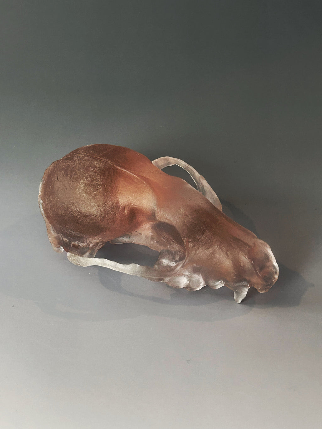 Soft Pink Cast Glass Fox Skull