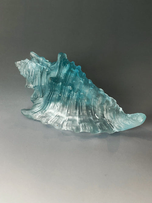 Aqua Sea Shell