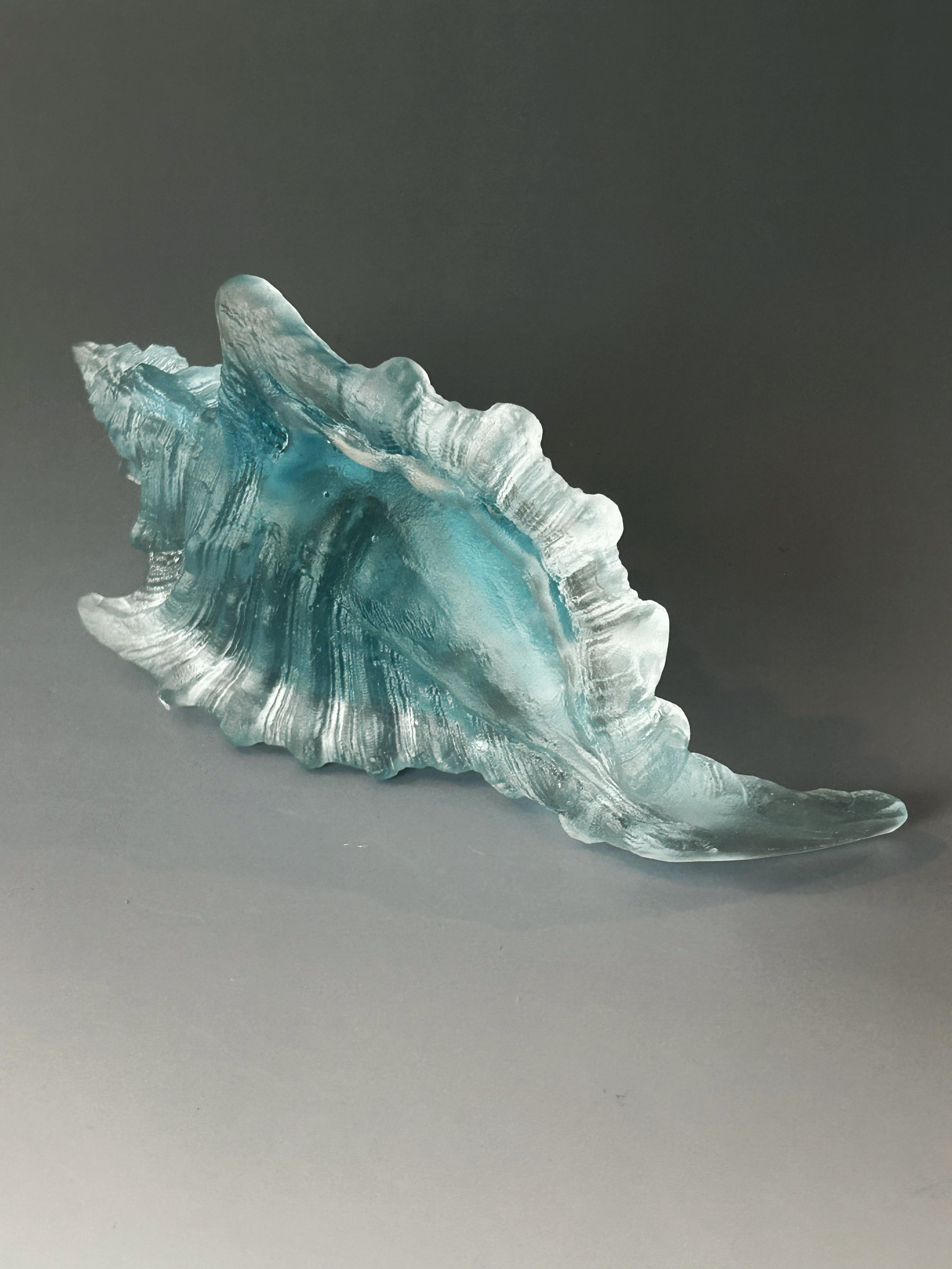 Aqua Sea Shell