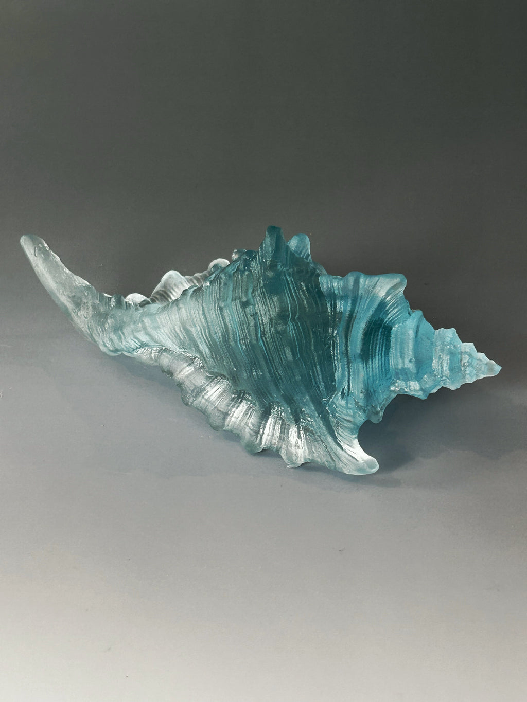 Aqua Sea Shell
